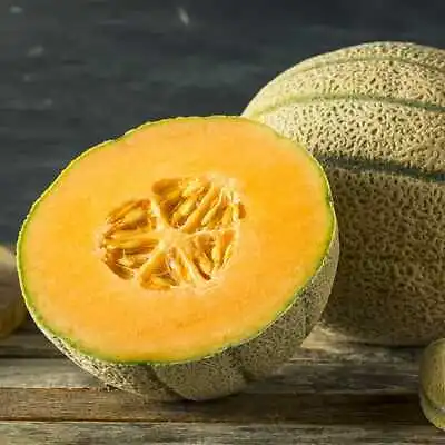 Honey Rock Melon Seeds Cantaloupe Sugar Rock NON-GMO FREE SHIPPING • $1.69