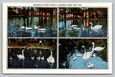Postcard Multiview Swans In Winona Lake & Park Indiana Winonas Happy Family -G7 • $4.99