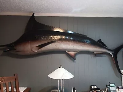 FABULOUS BLACK MARLIN Fish Taxidermy  Good Condition. VERY LARGE. • $1500