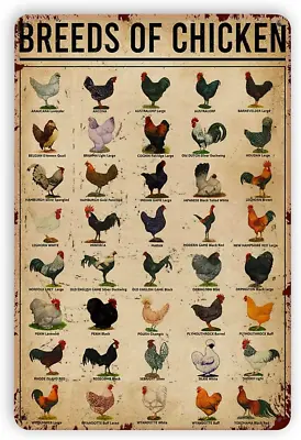 Dectinsign Metal Tin Signs Breeds Of Chickens Tin Sign Vintage Metal Poster C • $12.76