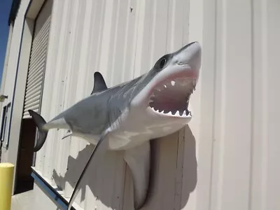 53  Great White Shark Two Sided Shark Mount - Quick Production • $742