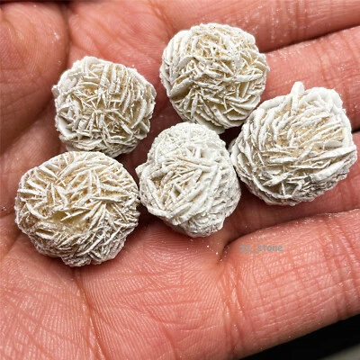 $6.99 • Buy Wholesale Desert Rose Selenite Natural Specimen Healing Crystal Stone Mineral 