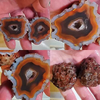 Pr Banded Laguna Agate Geode Mexico Chihuahua 107g Lapidary Gemstone Cabbing  • $44