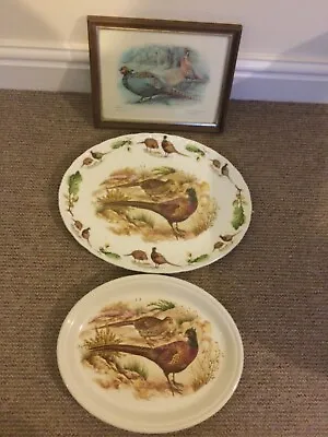£16 • Buy Vintage Pheasant Serving Plate Platter X2  Bone China And Barratts And Picture