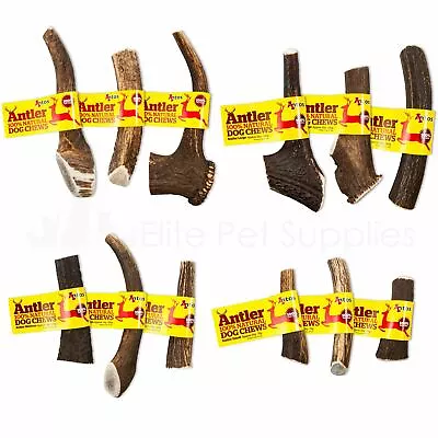 £4.89 • Buy Antos Deer Antler Dog Chew Long Lasting Treat 100% Natural XS, S, M, L Or XL