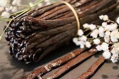 Fresh Madagascar Grade A ORGANIC Bourbon Vanilla Beans [Whole] • $3.79