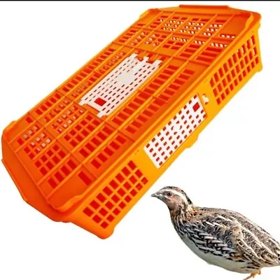 Brand New Plastic Quality Quail Small Bird Transport Shipping Crate Cage • $49.99