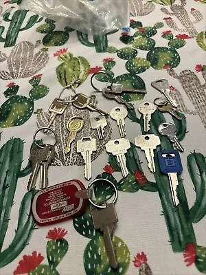 Lot Of Various Vintage Keys - Gm Also Cadillac Luggage Super Sale Must Sell • $14