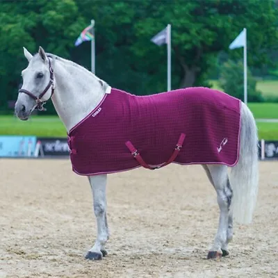 Mark Todd Wicking Waffle Coolex Cooler Rug Burgundy White Thermal 5ft 6 • £59.99