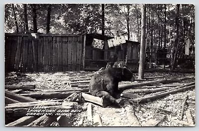 Harrison Michigan~Spikehorn Bear Den Shacks~Bear Sits On Log Box~ C1950 RPPC • $10