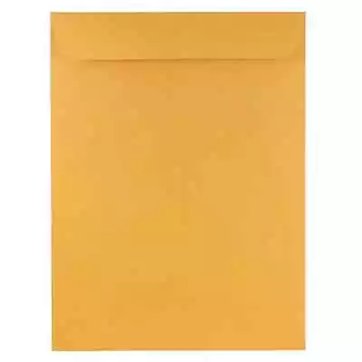 JAM PAPER 9 X 12 Open End Catalog Brown Kraft Manila Premium Envelopes - 100 Ct • $24.65