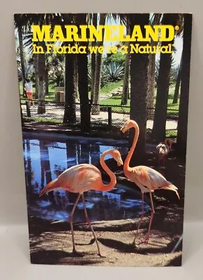 Postcard Marineland Florida Colorful Flamingos  • $3.95