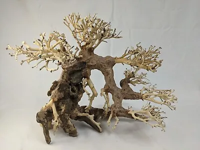 Natural Bonsai Driftwood Aquarium Tree • $54