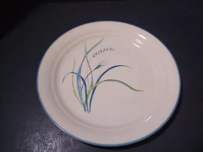 Corelle Coastal Breeze Luncheon Plate 8 1/2  Wide • $14.97