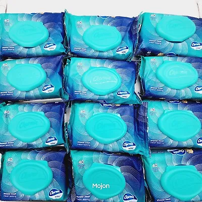 12 Packs Charmin Flushable Wipes Flip-Top 40 Wipes Per Pack 480 Total Wipes • $51.37