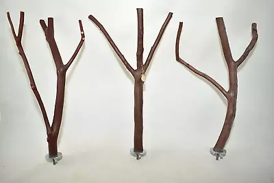 Manzanita Bird Perches Multibranch Set Of THREE  W/ Hardware  * Sweet! • $16.99