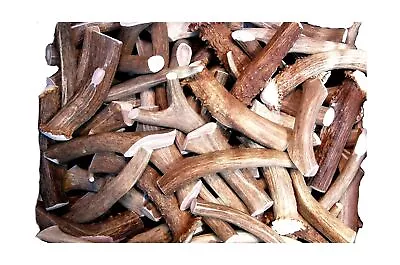 Premium Deer Antler Pieces - Dog Chews - Antlers By The Pound One Pound - Si... • $64.59