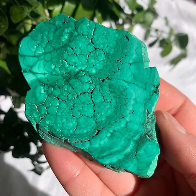 62.5g Natural Malachite Stone Slab Quartz Crystal Mineral Specimen Healing • $18