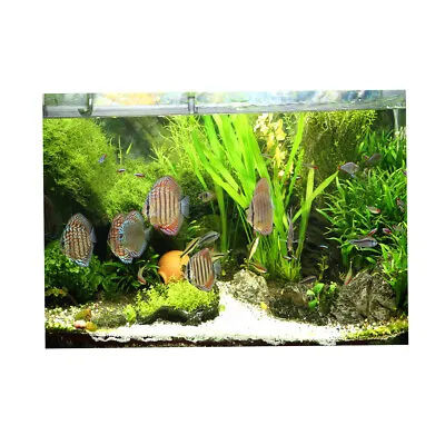 Practical Aquarium 3D HD Fish Tank Background Poster Fish Background XL • $21.68