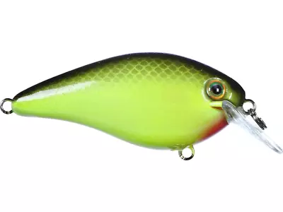 Strike King KVD 1.5 Squarebill Crankbait • $6.49