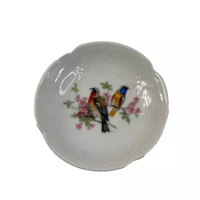 Kaiser Germany Birds Collector Plate Multicolor Porcelain Collectible Round 4 In • $12.99