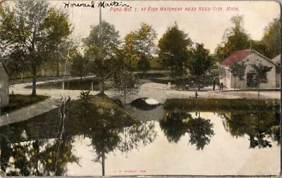 Pond No 1 Fish Hatchery Near Reed City Postcard Michigan MI Posted 1908 • $10.11