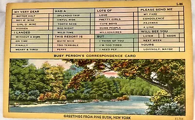 Vintage Pine Bush New York Postcard Color Landscape “Busy Person’s” Antique • $7.99