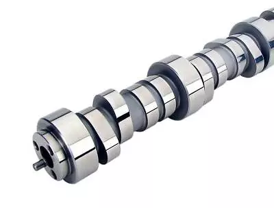 Brian Tooley Btr Gm Ls Low Lift Truck Cam 4.8l 5.3l 6.0l Camshaft Nsr • $352.99