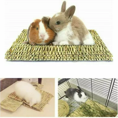 Animal Hamster Grass Chew Mat Breakers Toy Pet Rabbit Rat Guinea Pig House Pad • £3.89