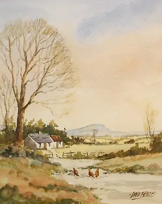Irish Art Original Watercolour Painting FARM IN DONEGAL IRELAND By DAVID PETERS • £195