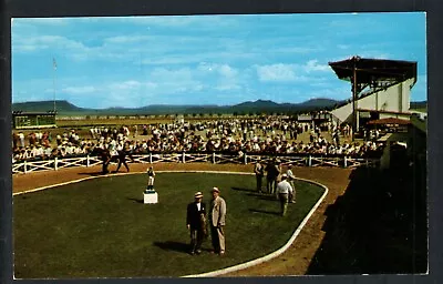 Raton Nm * La Mesa Park ~ Horse Racing ~ 1954 Racing Dates * Unposted Chrome • $9.95