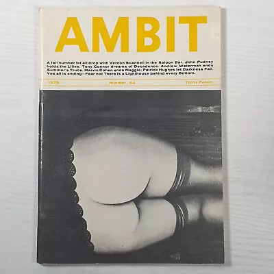 Ambit Magazine 1975 No 64 • £11.99