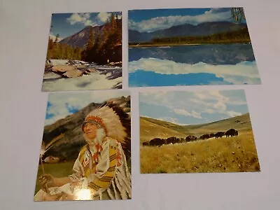 Montana Large Postcard Vintage 4 LOT Indian Buffalo National Bison Range Mission • $8.99