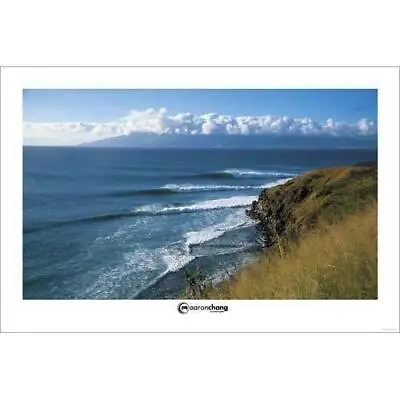 Aaron Chang Poster Maui Hawaii Surfing Poster 24 X 36 • $44.05