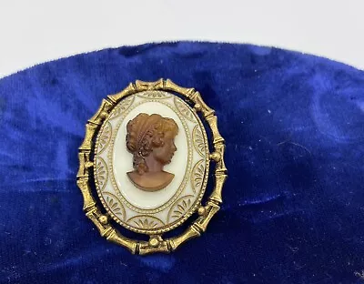 Vintage Cameo Pin Brooch Pendant Intaglio Porcelain Bamboo Metal Surround 2  • $9.85