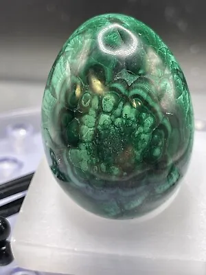 Amazing Malachite Egg - 115g • $14