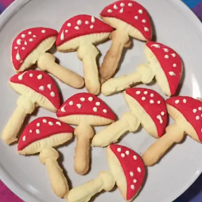 Fly Agaric Mushroom Cookie Pastry Biscuit Cutter Icing Fondant Clay Kitchen Fun • £5.99