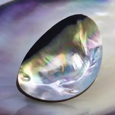 Mabe Blister Pearl In Shell Extreme Colorful Rainbow Iridescent 8.09 G Cabochon • $19.99