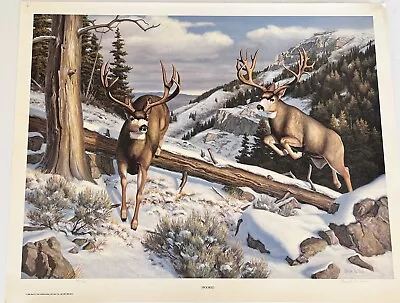 Brent R Todd Artist Print Spooked Mule Deer Bucks S/N 307/750 Utah Art 1990 • $125