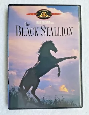 THE BLACK STALLION Kelly Reno / Mickey Rooney MGM DVD - SEALED On One Side • $5.95