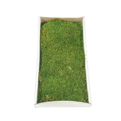 Vickerman Tray Of Green Sheet Moss Preserved • $37.37