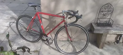 Colnago Vintage Road Bike • $1000