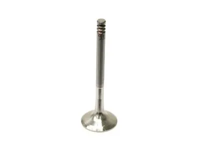 Exhaust Valve For 96-04 VW Jetta Beetle Golf Passat 1.9L 4 Cyl ALH GL GLS MG19Y1 • $23.15