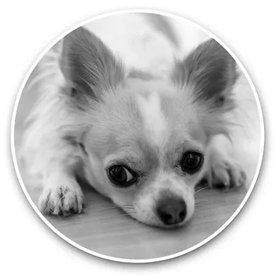 £3.99 • Buy 2 X Vinyl Stickers 10cm (bw) - Cute Chihuahua Dog Puppy Pet Animal  #43553