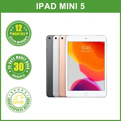 Apple IPad Mini 5th Generation(2019) Retina Tablet 7.9  256GB Wi-Fi ONLY Version • $629