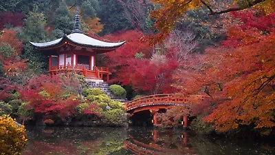 Japanese Temple Zen Garden Spiritual Canvas Picture Poster Print Unframed #a91 • £5.88