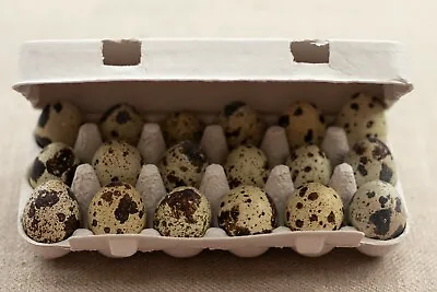 Henpac Quail 18-Egg Egg Boxes Eco Friendly Also Great For Crafts And Gifting • £13.17