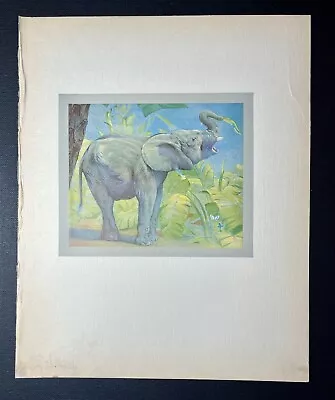 Antique BEAUTIFUL Book Plate From Children’s Book CUTE Baby Elephant CALF Art • $29.99