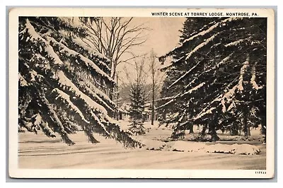 Postcard PA Montrose Pennsylvania Winter Scene At Torrey Lodge C1940s R79 • $10.99