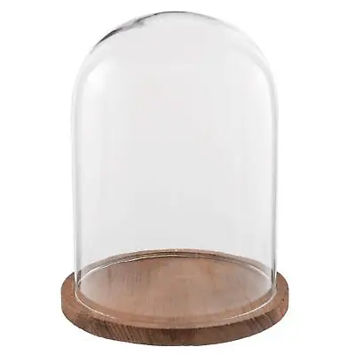 £29.99 • Buy Glass Display Cloche Bell Jar Dome Flower Preservation Cover Wooden Base 29 Cm 